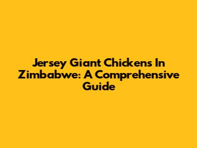 Jersey Giant Chickens In Zimbabwe: A Comprehensive Guide