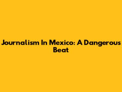 Journalism In Mexico: A Dangerous Beat