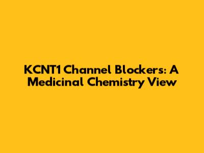 KCNT1 Channel Blockers: A Medicinal Chemistry View