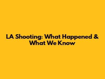 LA Shooting: What Happened & What We Know