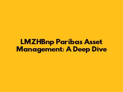LMZHBnp Paribas Asset Management: A Deep Dive