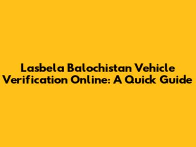 Lasbela Balochistan Vehicle Verification Online: A Quick Guide