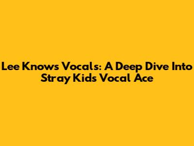 Lee Know's Vocals: A Deep Dive Into Stray Kids' Vocal Ace