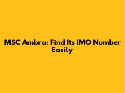 MSC Ambra: Find Its IMO Number Easily