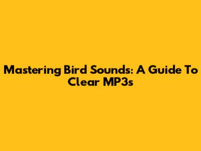 Mastering Bird Sounds: A Guide To Clear MP3s