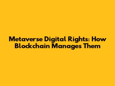 Metaverse Digital Rights: How Blockchain Manages Them