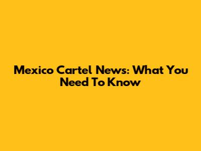 Mexico Cartel News: What You Need To Know