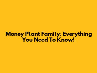 Money Plant Family: Everything You Need To Know!