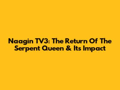 Naagin TV3: The Return Of The Serpent Queen & Its Impact