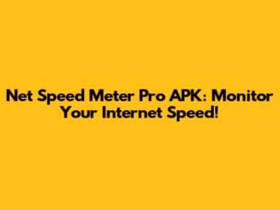 Net Speed Meter Pro APK: Monitor Your Internet Speed!
