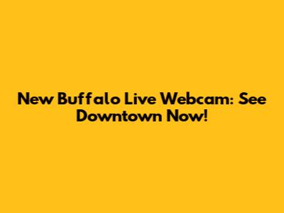 New Buffalo Live Webcam: See Downtown Now!