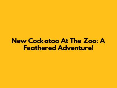 New Cockatoo At The Zoo: A Feathered Adventure!