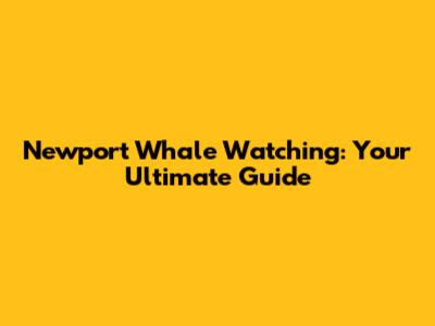 Newport Whale Watching: Your Ultimate Guide