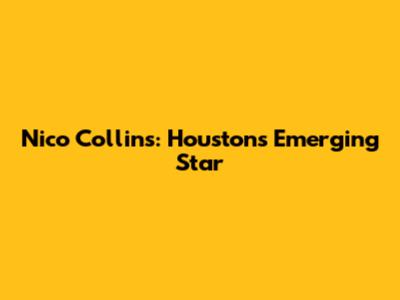 Nico Collins: Houston's Emerging Star