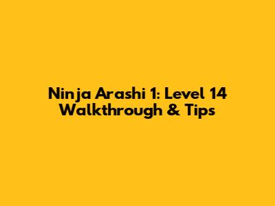 Ninja Arashi 1: Level 14 Walkthrough & Tips