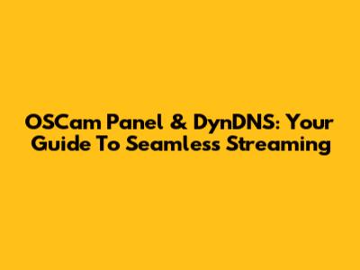 OSCam Panel & DynDNS: Your Guide To Seamless Streaming