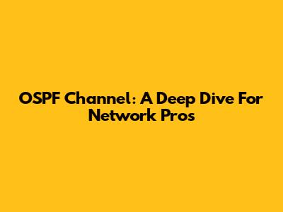 OSPF Channel: A Deep Dive For Network Pros