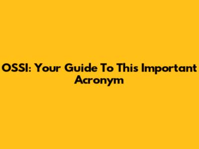 OSSI: Your Guide To This Important Acronym