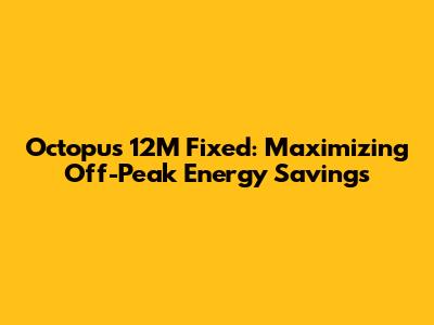 Octopus 12M Fixed: Maximizing Off-Peak Energy Savings