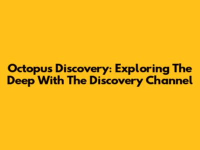 Octopus Discovery: Exploring The Deep With The Discovery Channel
