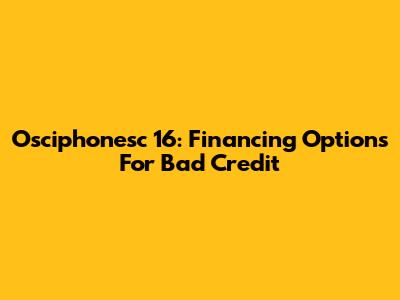 Osciphonesc 16: Financing Options For Bad Credit