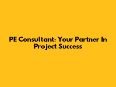 PE Consultant: Your Partner In Project Success