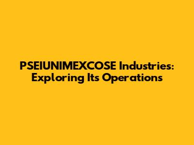 PSEIUNIMEXCOSE Industries: Exploring Its Operations
