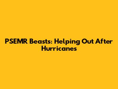 PSEMR Beasts: Helping Out After Hurricanes