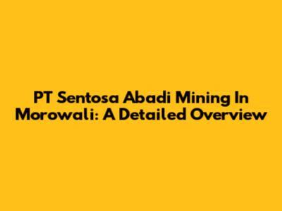 PT Sentosa Abadi Mining In Morowali: A Detailed Overview