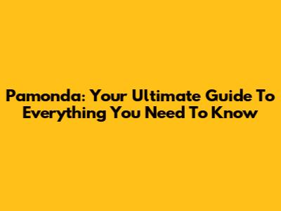 Pamonda: Your Ultimate Guide To Everything You Need To Know