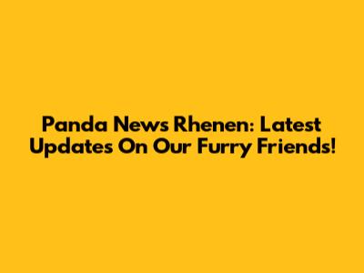 Panda News Rhenen: Latest Updates On Our Furry Friends!