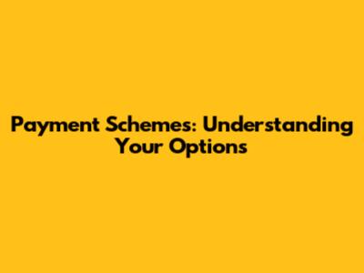 Payment Schemes: Understanding Your Options