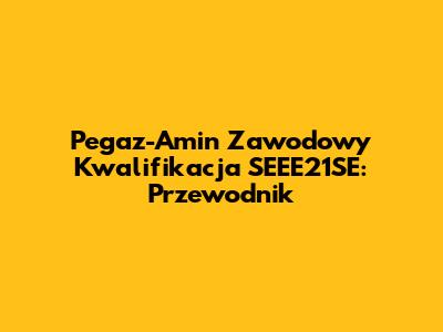 Pegaz-Amin Zawodowy Kwalifikacja SEEE21SE: Przewodnik