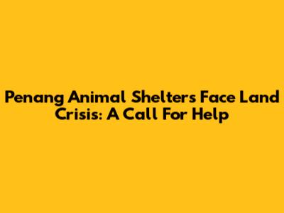 Penang Animal Shelters Face Land Crisis: A Call For Help