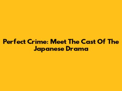 Perfect Crime: Meet The Cast Of The Japanese Drama