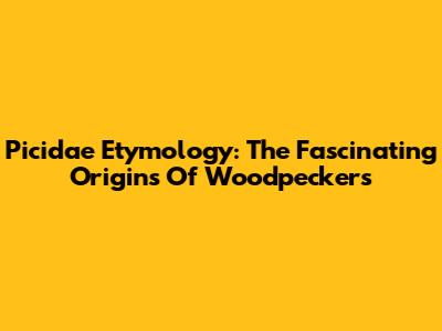 Picidae Etymology: The Fascinating Origins Of Woodpeckers