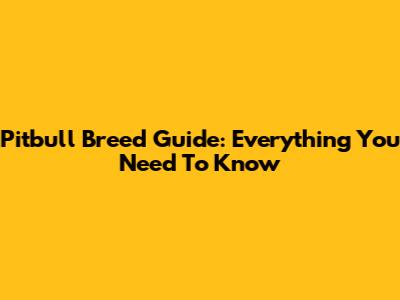 Pitbull Breed Guide: Everything You Need To Know