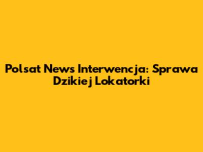 Polsat News Interwencja: Sprawa Dzikiej Lokatorki