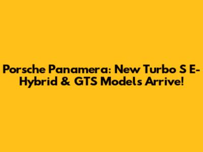 Porsche Panamera: New Turbo S E-Hybrid & GTS Models Arrive!