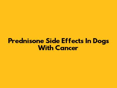 Prednisone Side Effects In Dogs With Cancer