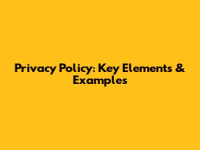 Privacy Policy: Key Elements & Examples