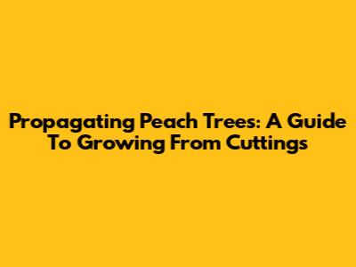 Propagating Peach Trees: A Guide To Growing From Cuttings