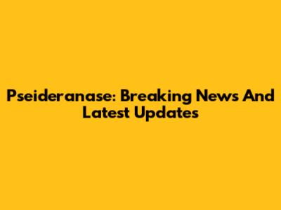 Pseideranase: Breaking News And Latest Updates