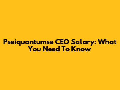 Pseiquantumse CEO Salary: What You Need To Know