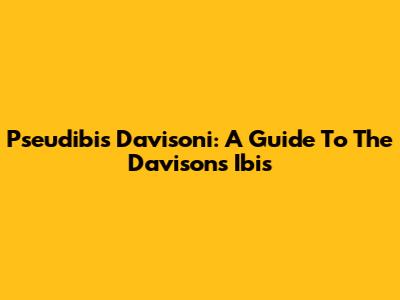 Pseudibis Davisoni: A Guide To The Davison's Ibis