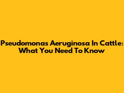 Pseudomonas Aeruginosa In Cattle: What You Need To Know
