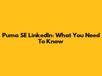 Puma SE LinkedIn: What You Need To Know
