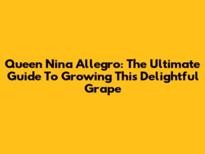 Queen Nina Allegro: The Ultimate Guide To Growing This Delightful Grape