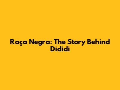 Raça Negra: The Story Behind "Dididi"