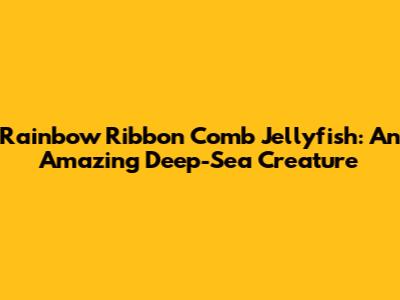 Rainbow Ribbon Comb Jellyfish: An Amazing Deep-Sea Creature